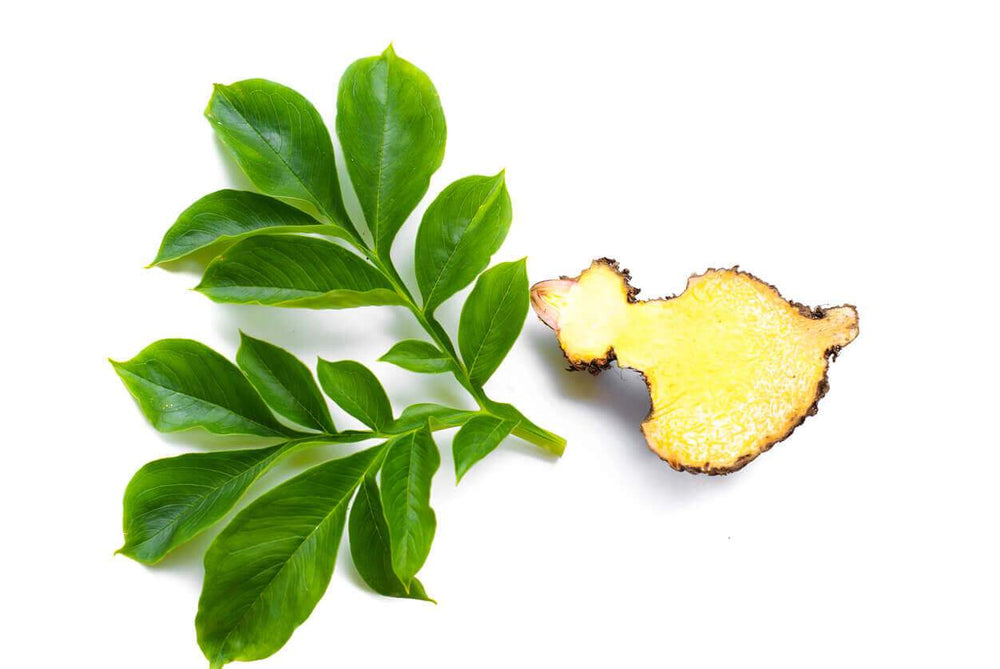 Le glucomannane, la fibre magique du konjac