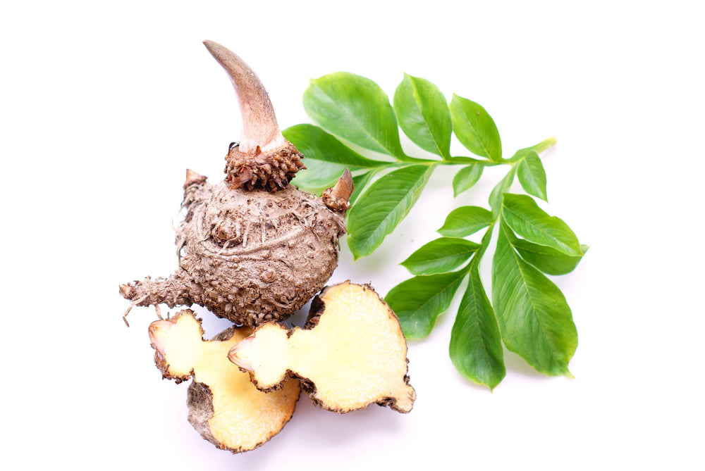 Découvrez tous les bienfaits du konjac